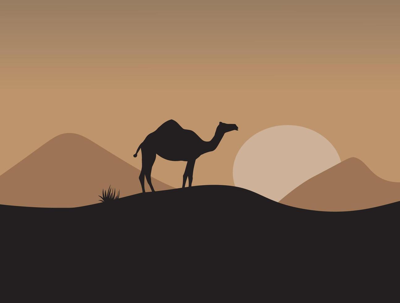Camel in the desert at sunset vector