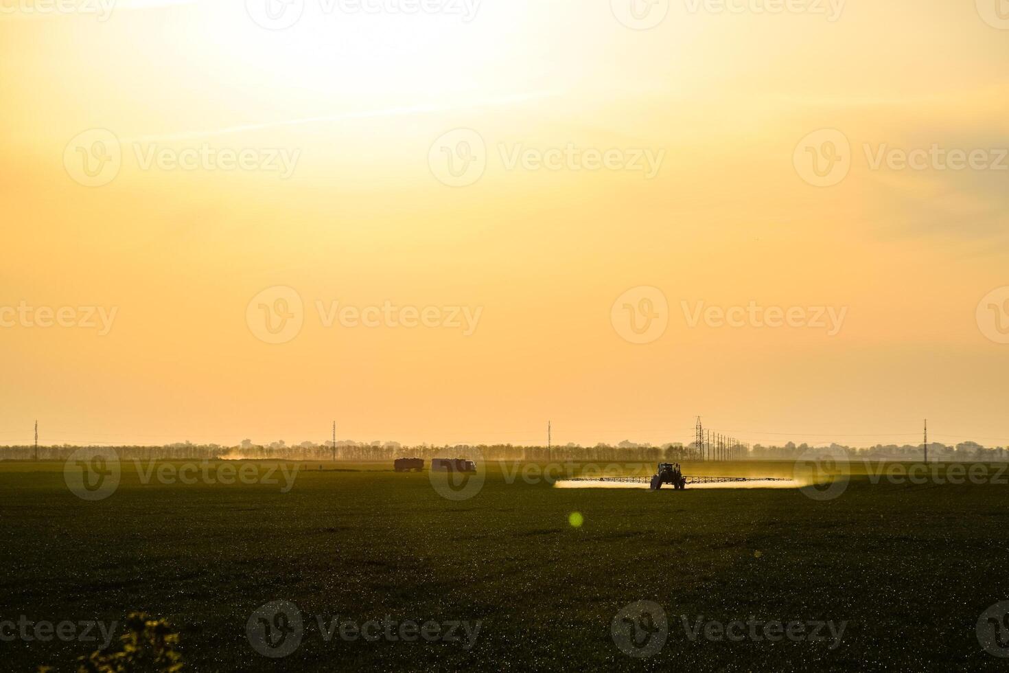 tractor with the help of a sprayer sprays liquid fertilizers on young wheat in the field. photo