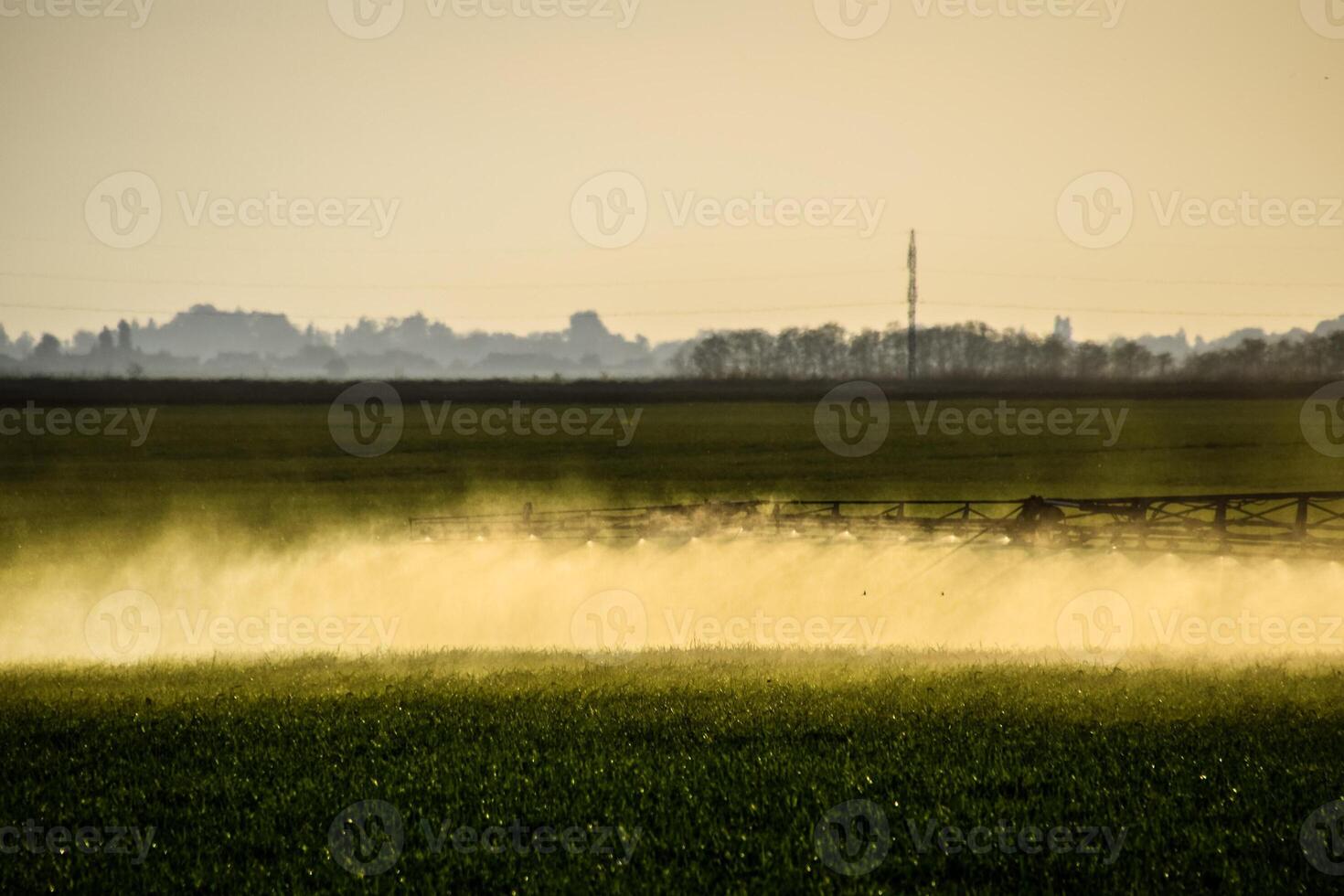 Jets of liquid fertilizer from the tractor sprayer. photo