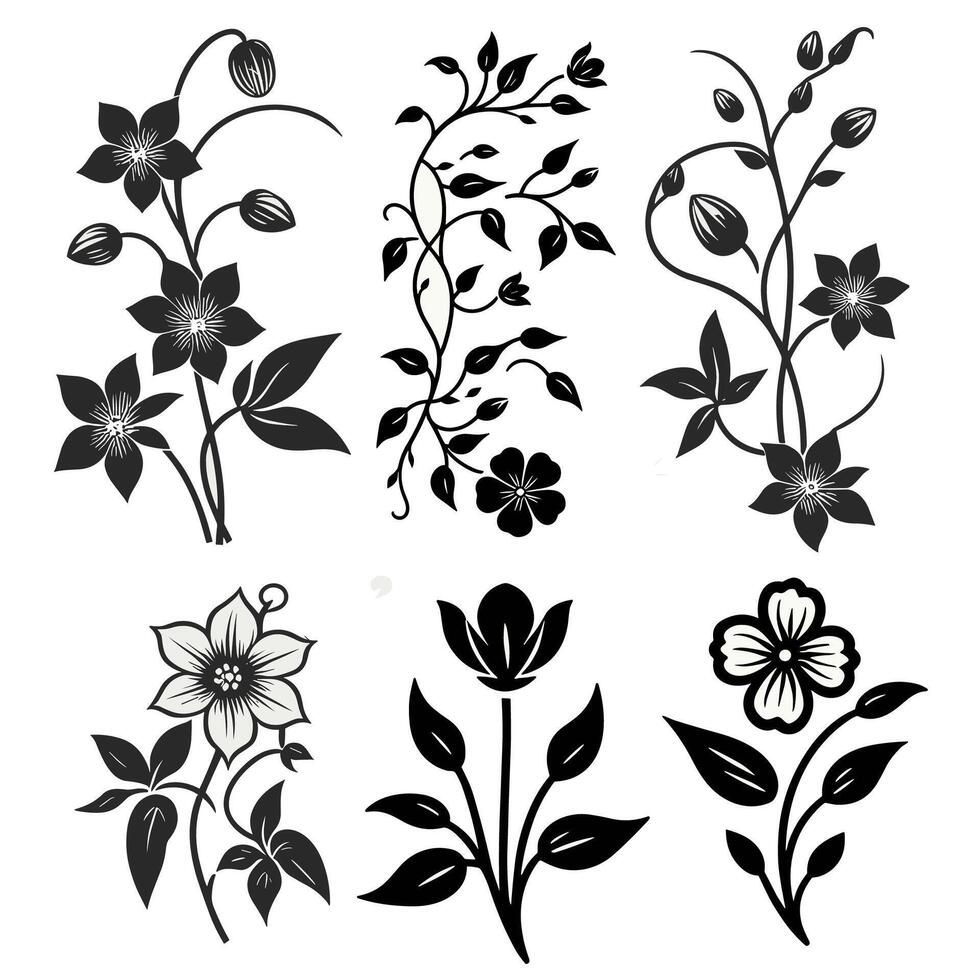 a collection of unique and simple vine flower illustrations vector