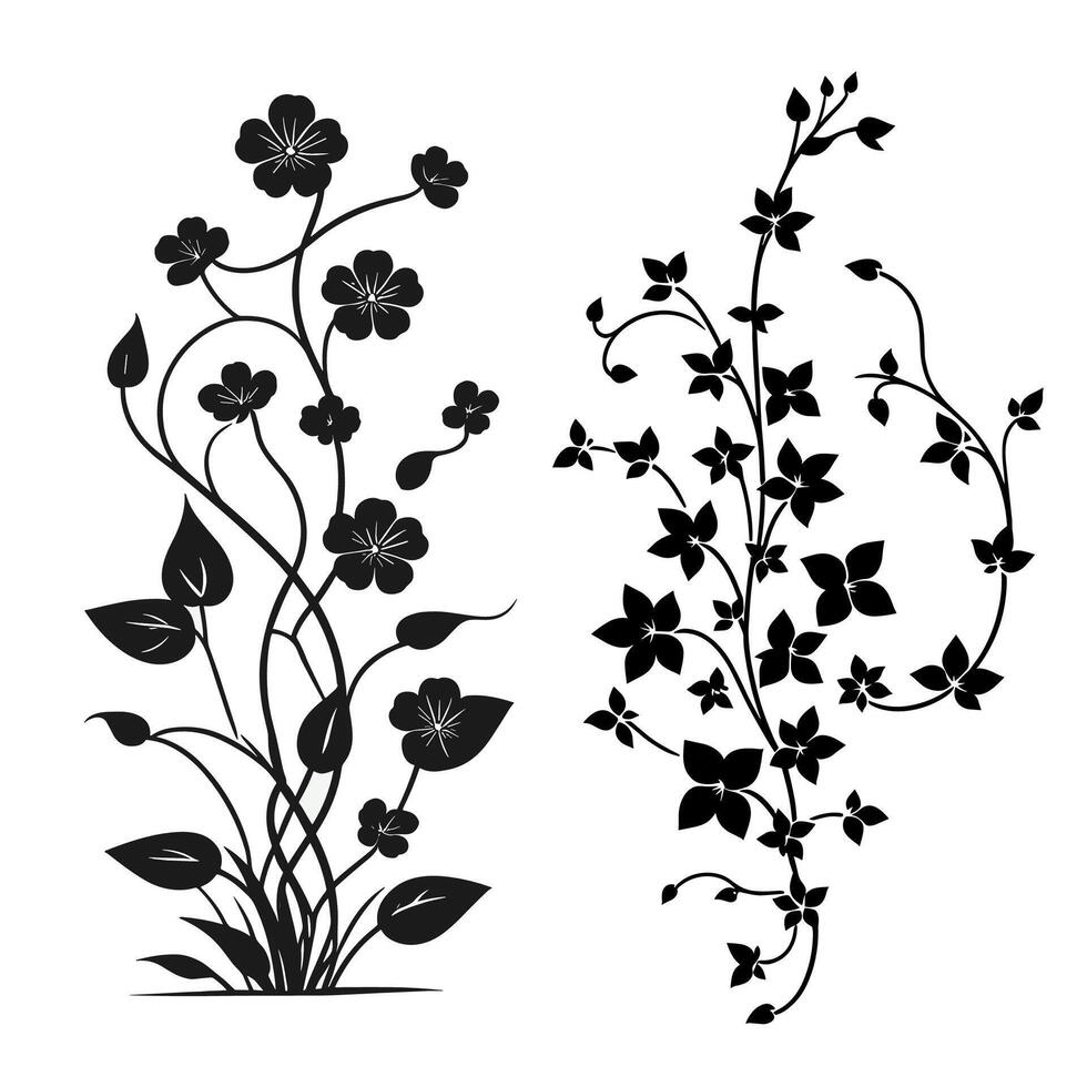 a collection of unique and simple vine flower illustrations vector