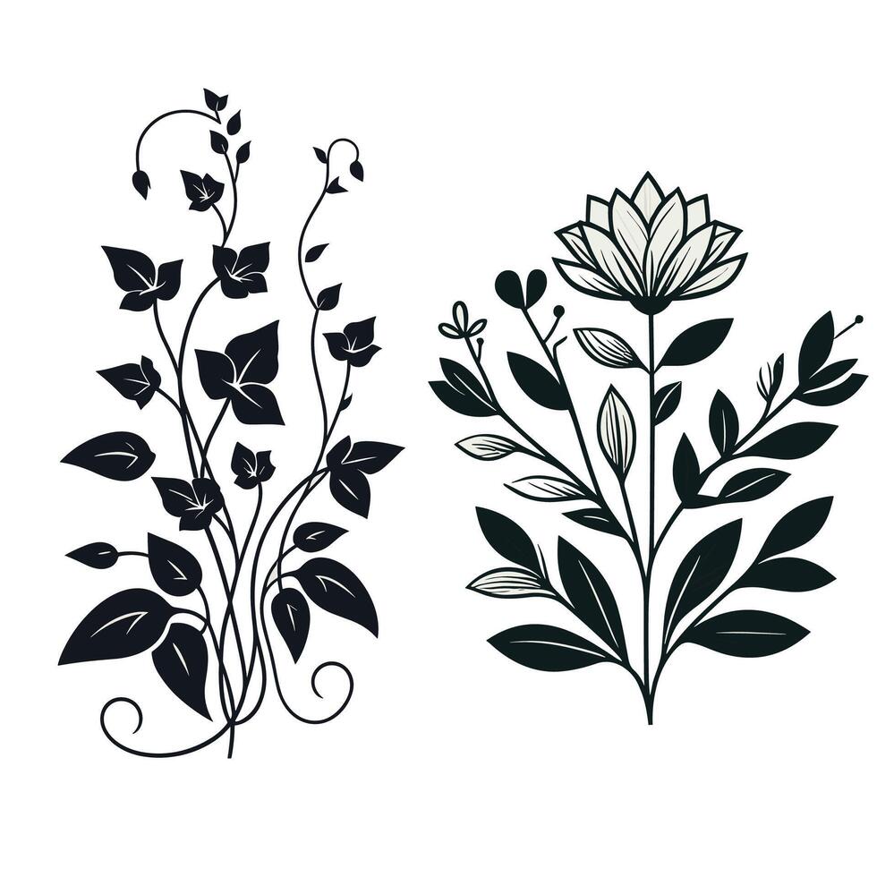a collection of unique and simple vine flower illustrations vector
