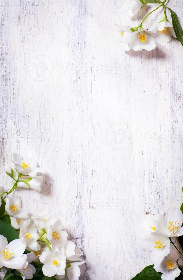 art jasmine spring flowers frame on old wood background photo