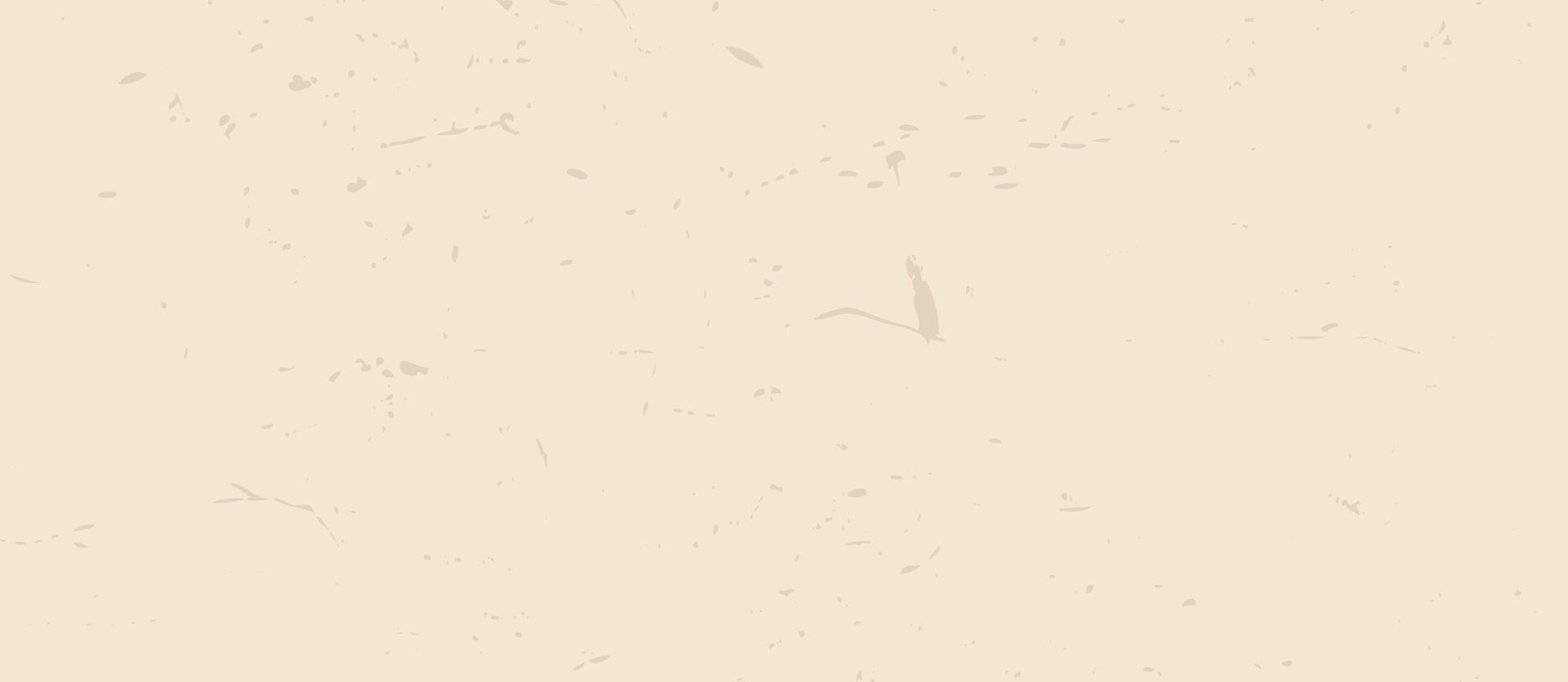 Vintage grunge background with grainy speckles and particles. Minimalistic grainy eggshell paper texture. Vector illustration