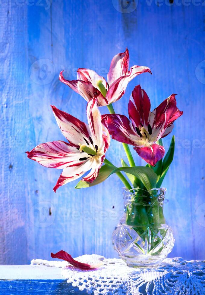 tulipanes en florero en madera antecedentes foto