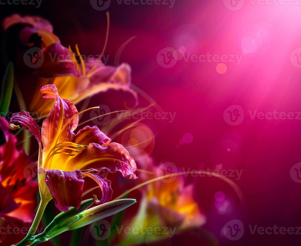 Flowers on a red background . valentines day design photo