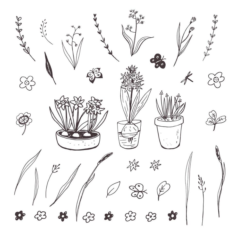 Spring flowers vector line illustartions set.