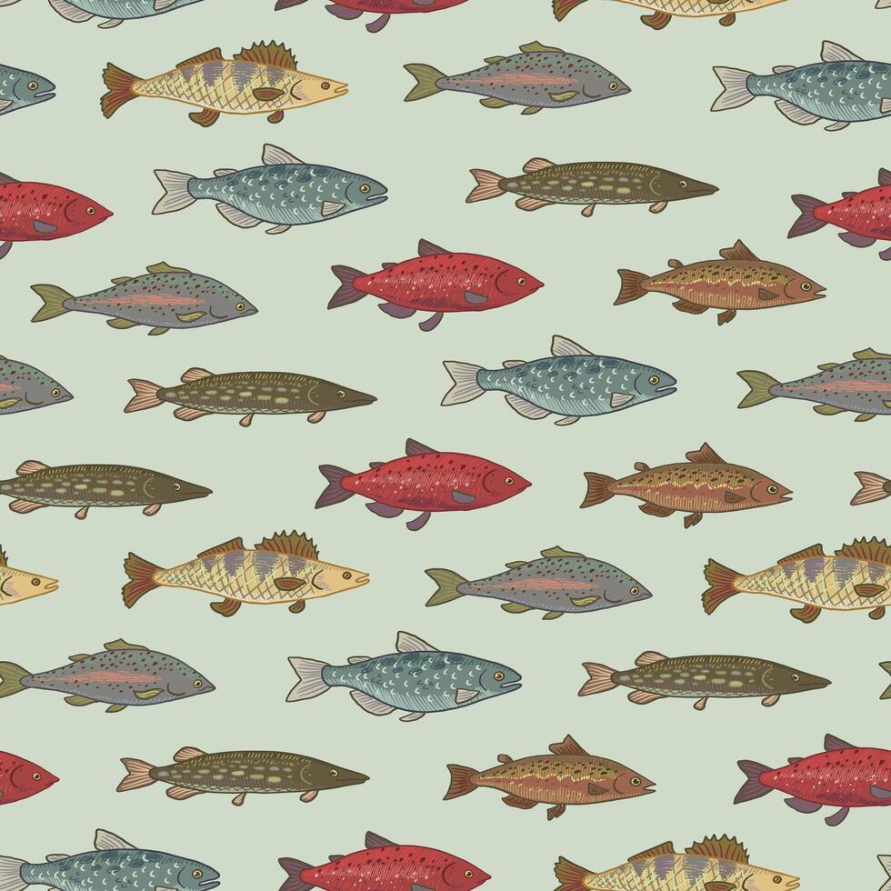 River freshwater fish vector seamless pattern. 38555893 Vector Art at Vecteezy River freshwater fish vector seamless pattern. 38555893 Vector Art at Vecteezy