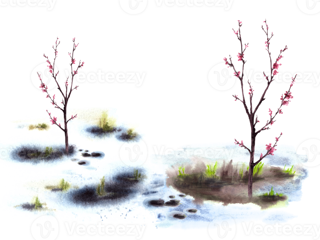 Primary plants flowers, blossoming spring trees of cherry, sakura, apricot or peach on background of melting snow. Hand drawn watercolor landscape Nature awakening after winter illustration png