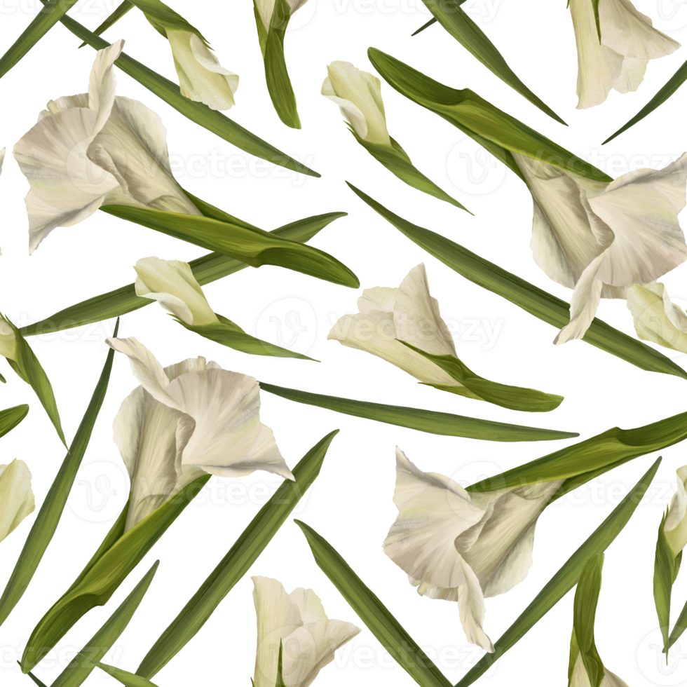 Gladiolus seamless pattern Hand drawn watercolor digital illustration of white flowers and leaves. png