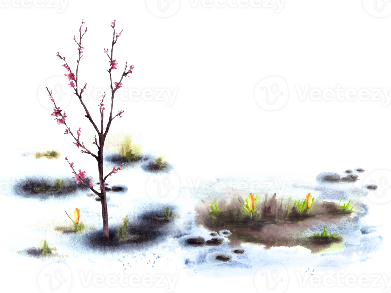 primário plantas flores, florescendo Primavera árvore do cereja, sakura, Damasco ou pêssego em fundo do Derretendo neve. mão desenhado aguarela panorama natureza despertar depois de inverno ilustração png