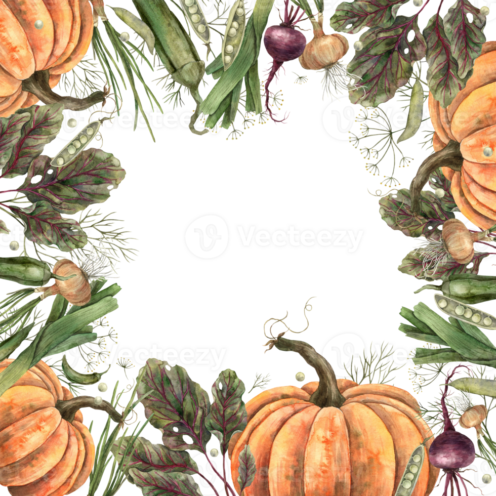 Watercolor frame made of vegetables pumpkin, onion, peas, beetroot, dill. Hand-drawn botanical illustrations on an isolated background. It can be used in printing design. png