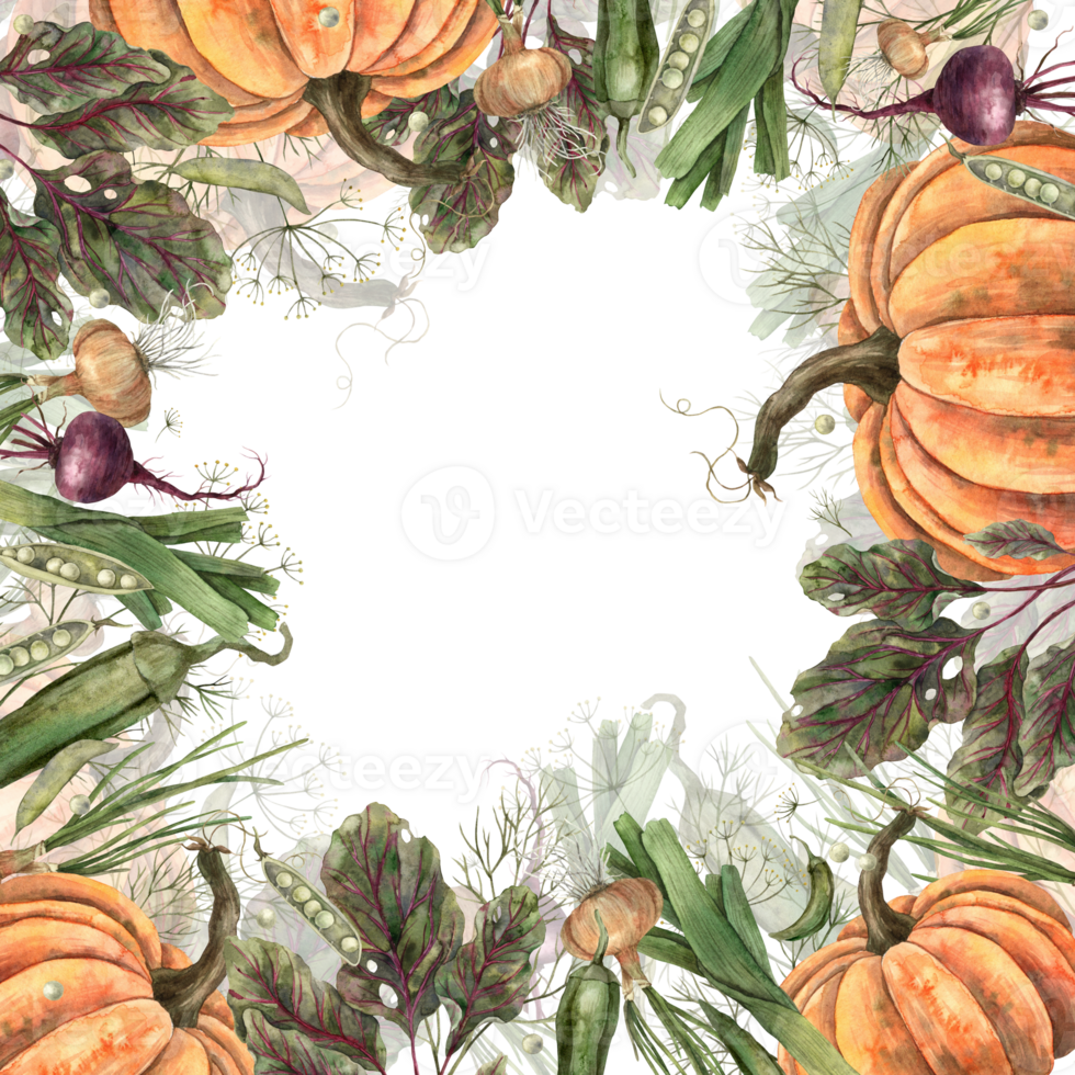 Watercolor frame made of vegetables pumpkin, onion, peas, beetroot, dill. Hand-drawn botanical illustrations on an isolated background. It can be used in printing design. png