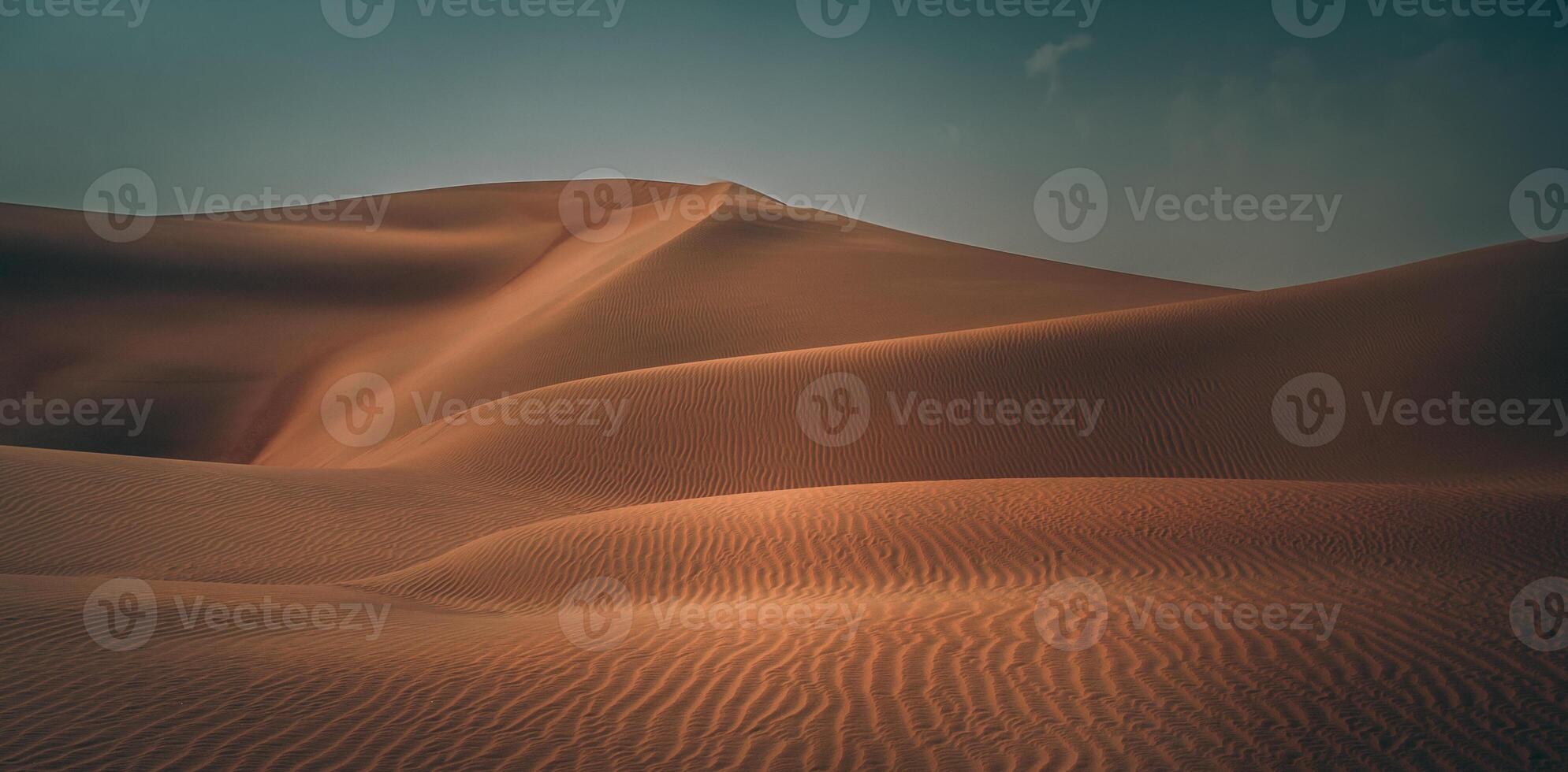 Beautiful desert landscape photo