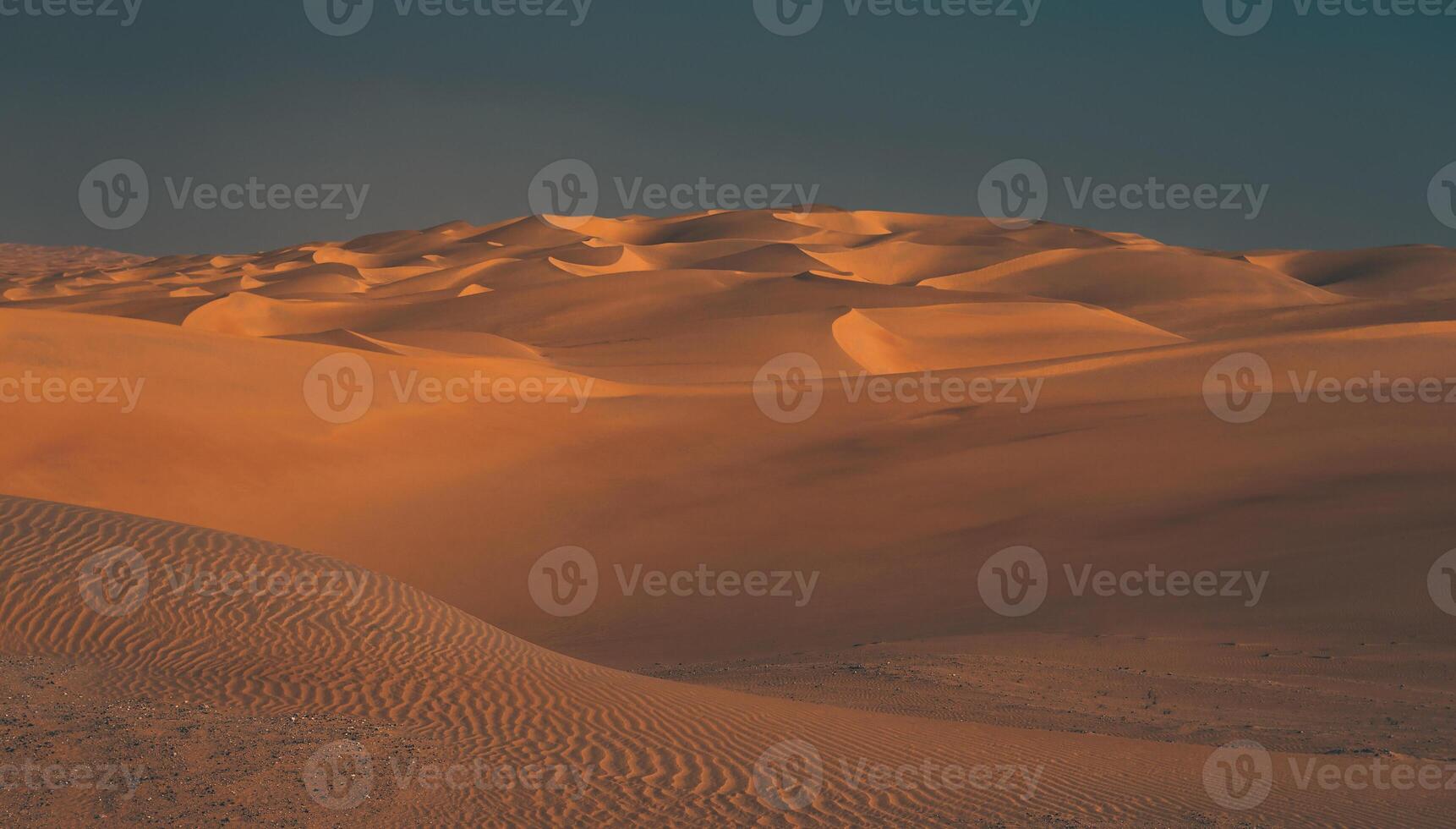 Beautiful Desert Landscape photo