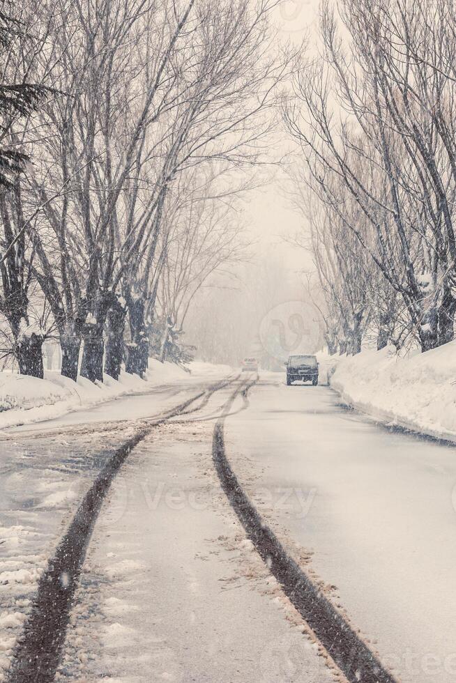 Tire Tracks in Winter Park photo