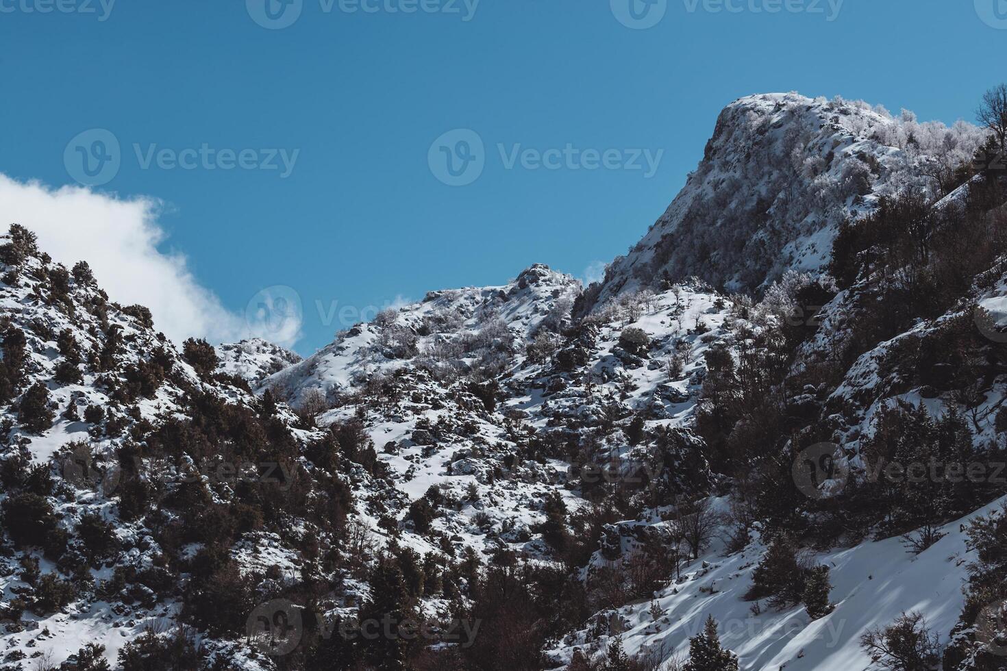 Beautiful winter snowy mountains landscape photo