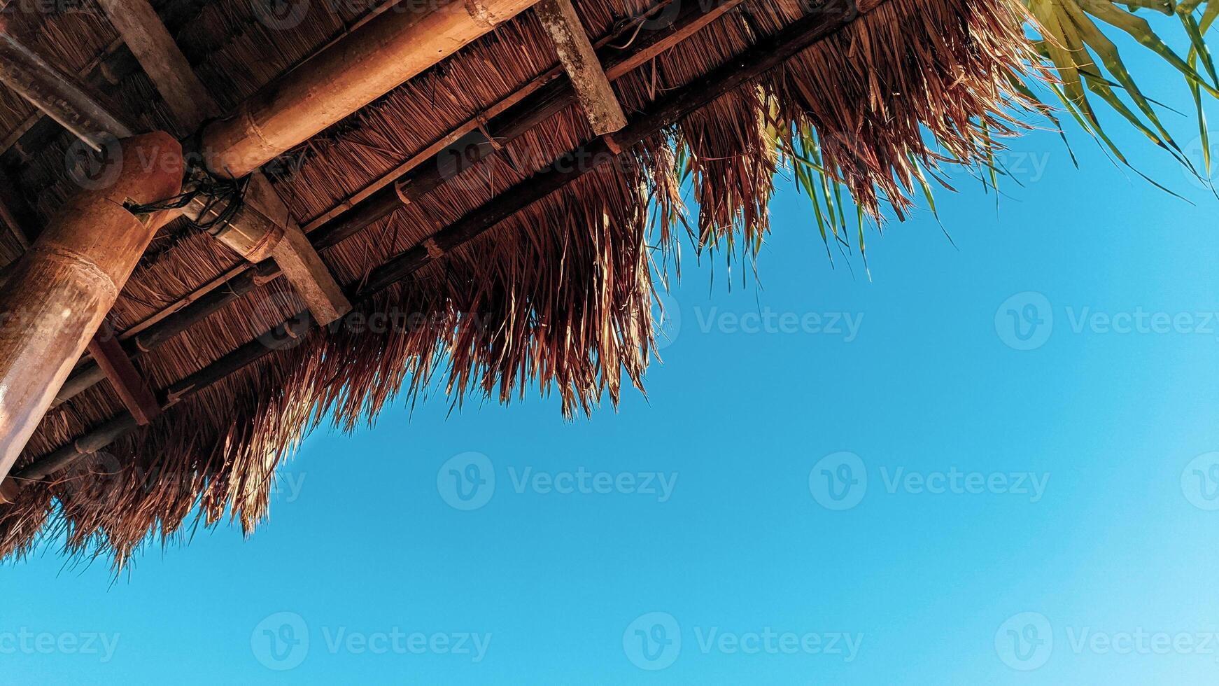 Dry thatched buildings on the beach photo