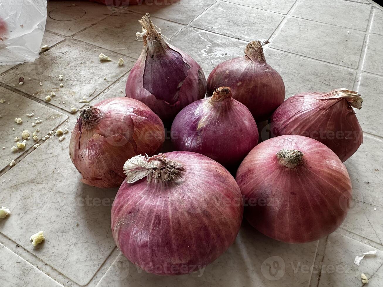 Onion vegetable photography photo