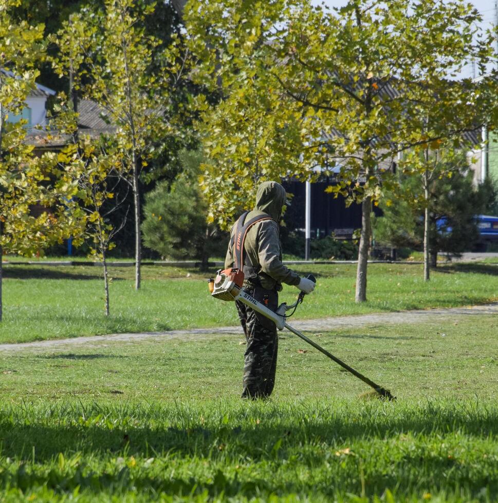 worker mowing grass with a gasoline brush. Trimmer. photo