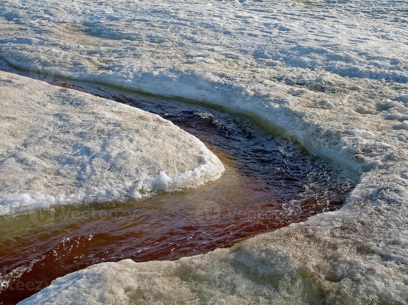 Melting snow in the spring. The spring heat will melt the snow. photo