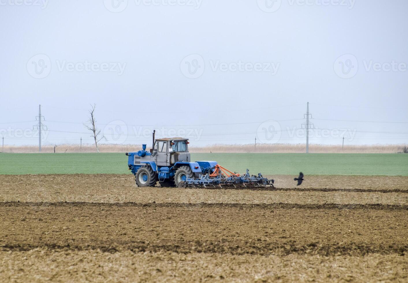 Lush and loosen the soil on the field before sowing. The tractor plows a field with a plow photo