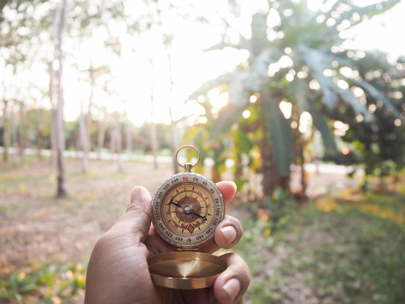 Close up of compass in woman hand with forest in the sunset time as background. The concept of world tourism day, Searching the right directions and Travel photo