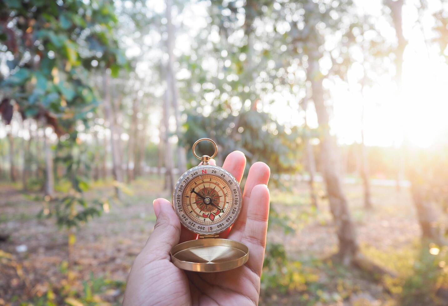 Close up of compass in woman hand with forest in the sunset time as background. The concept of world tourism day, Searching the right directions and Travel photo