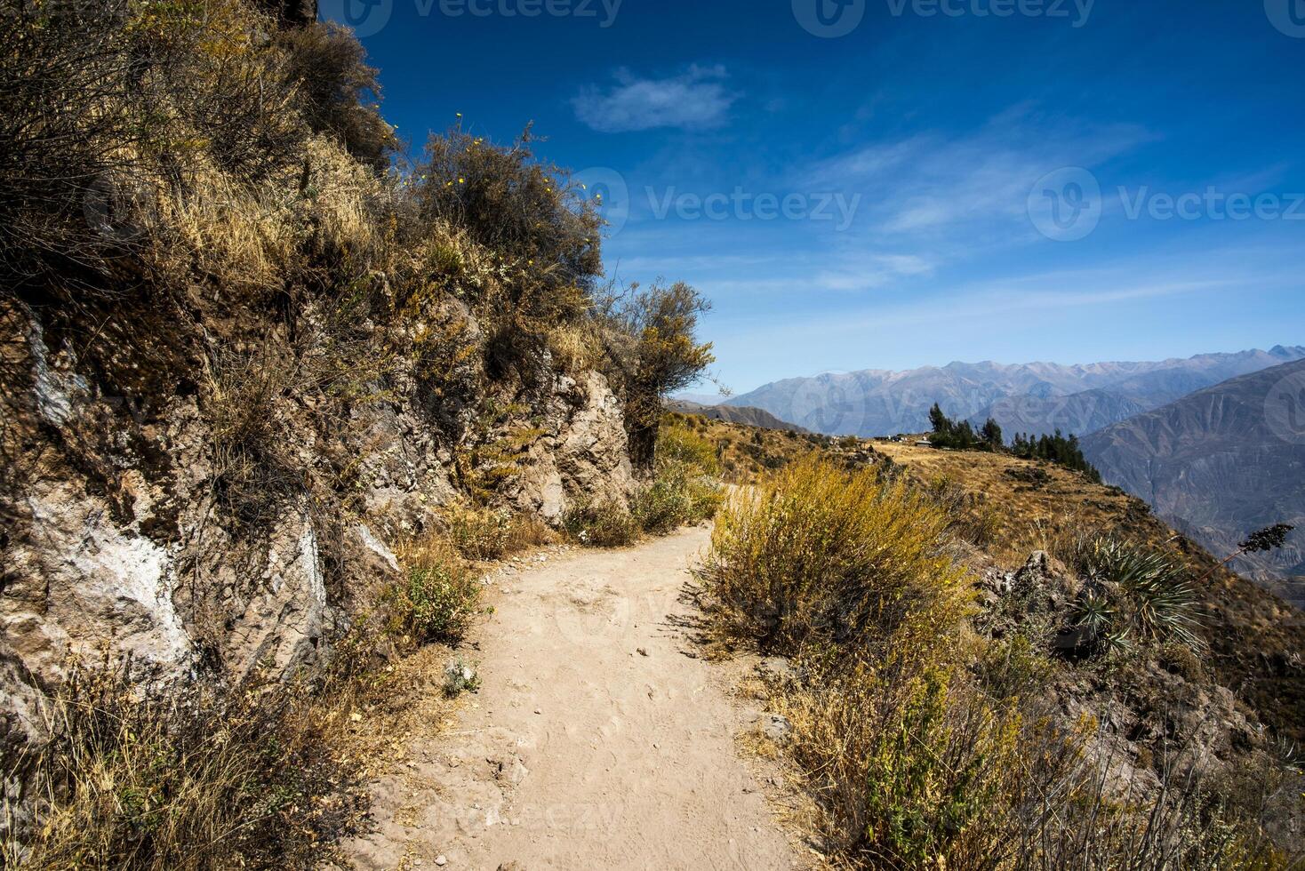 2023 8 16 Peru canyon del Colca 18 photo