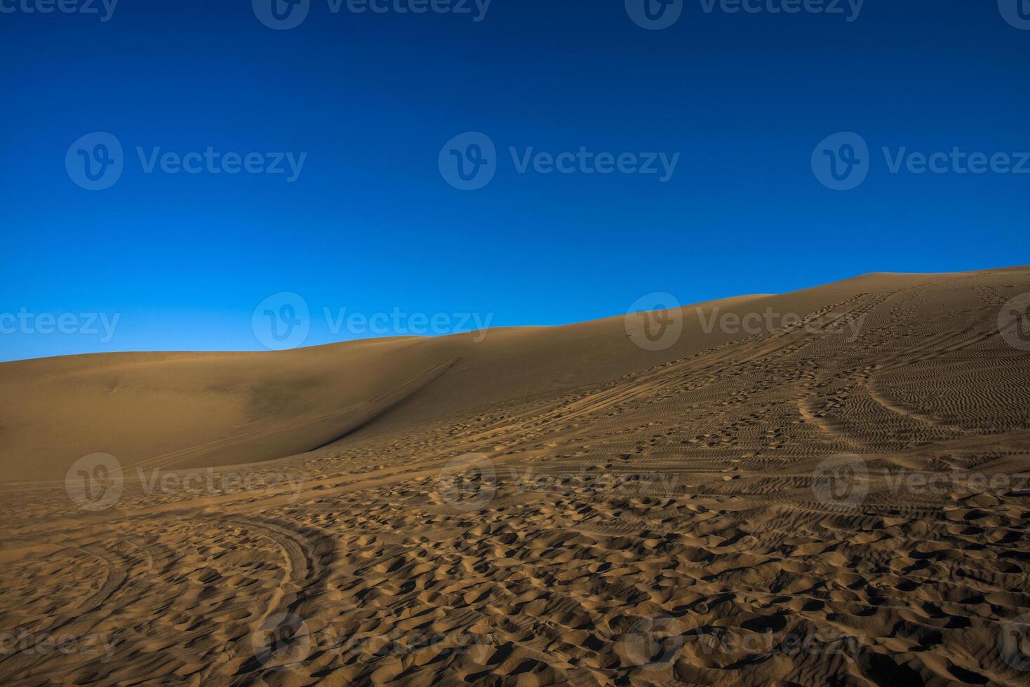 2023 8 13 Peru desert dunes 12 photo