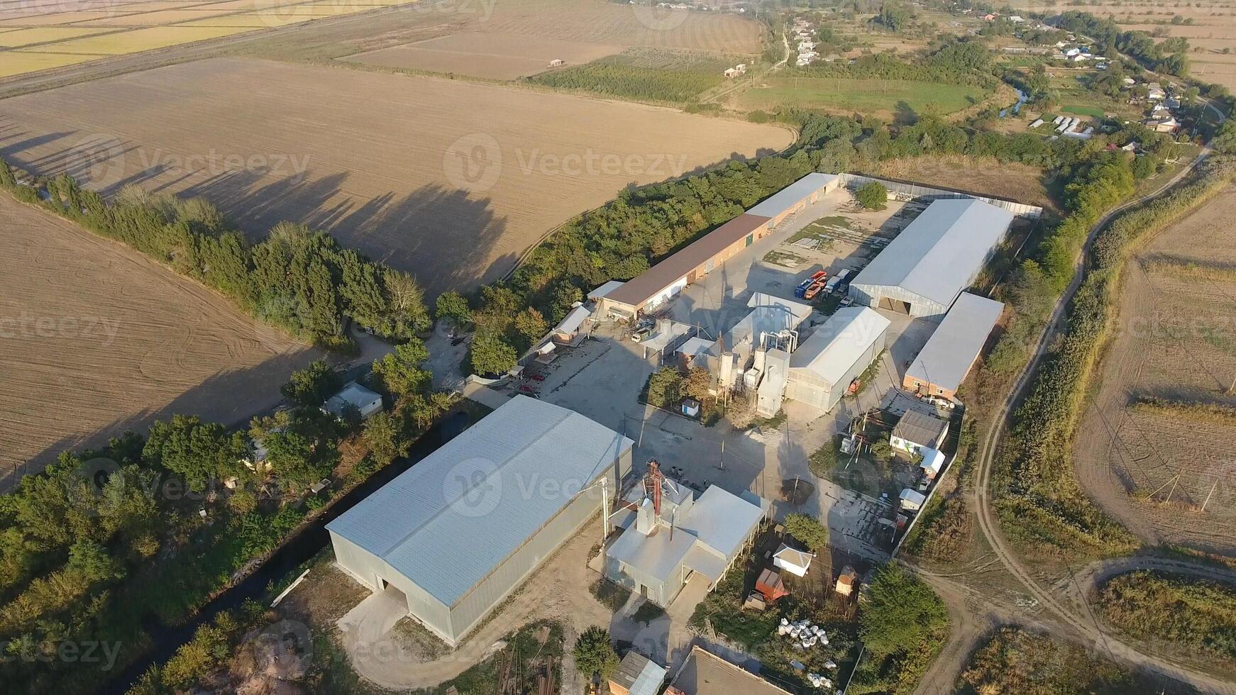 Rice plant. Hangar for storage of grain. A platform for drying and sintering grain. Harvested grain photo