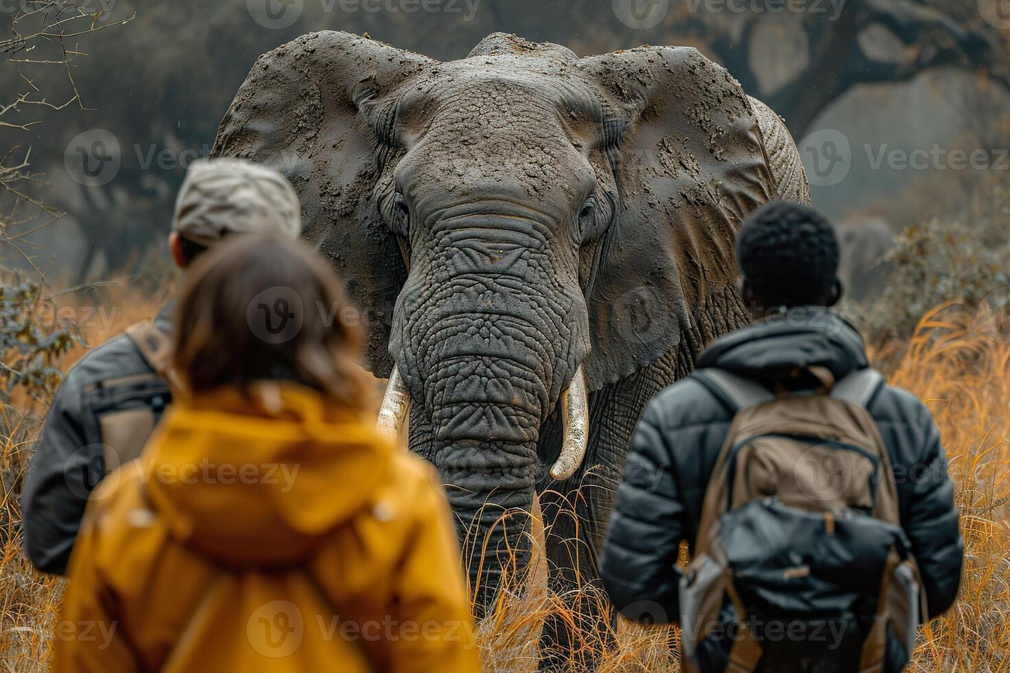 AI generated Tourists close encounter with an African elephant. Generative AI. photo