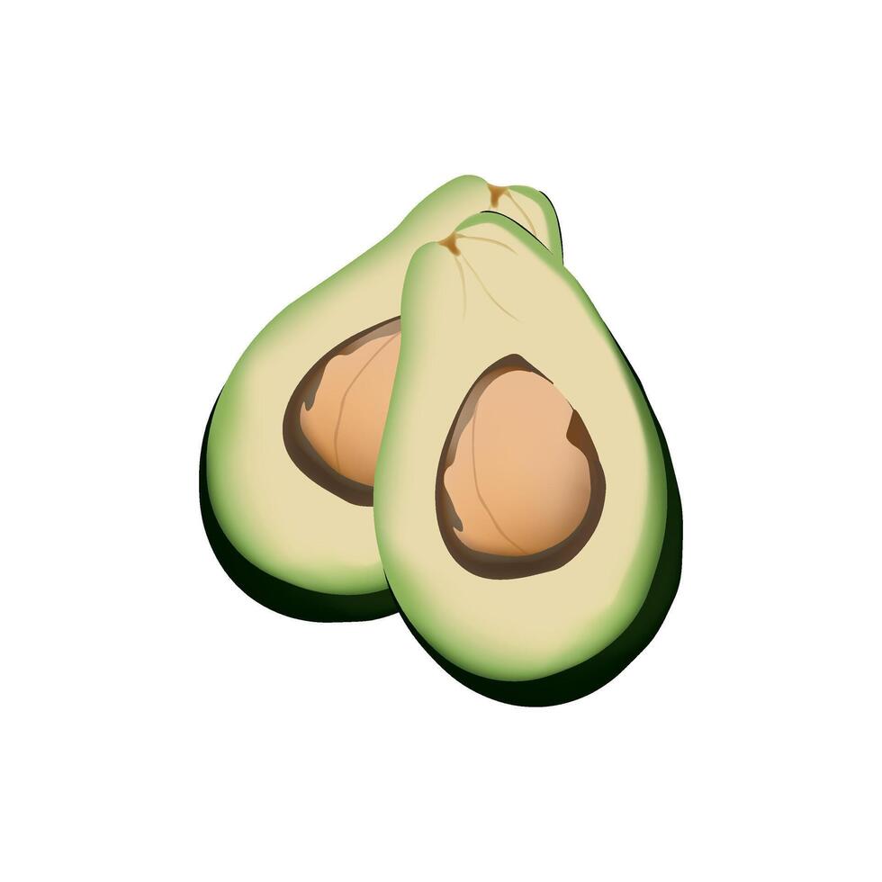 Vector illustration of a ripe avocado cut into two parts