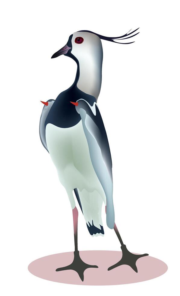 Vector illustration of a bird on a white background