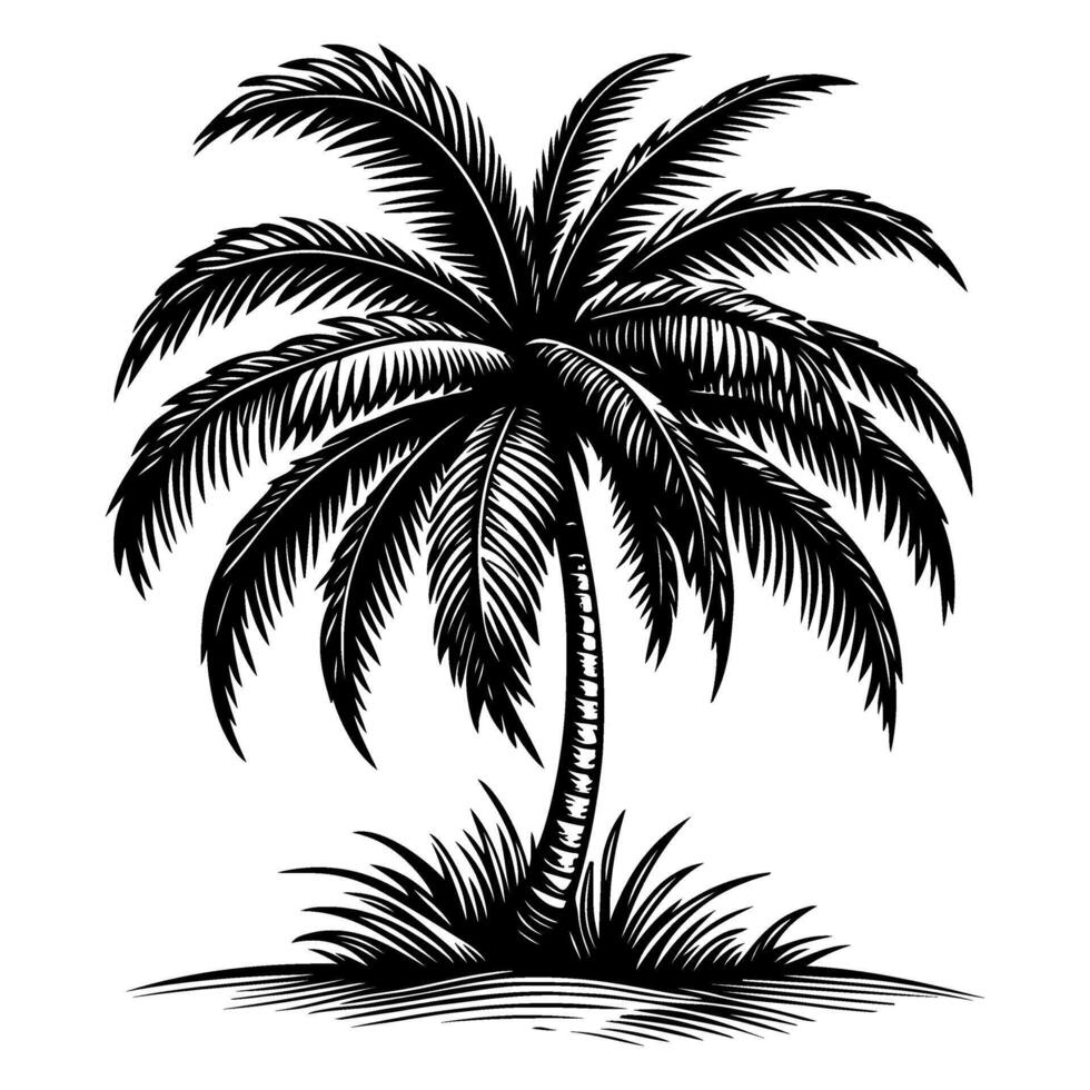 Palm or coconut Tropical tree silhouette, hand drawing black line doodle sketch style vector illustration