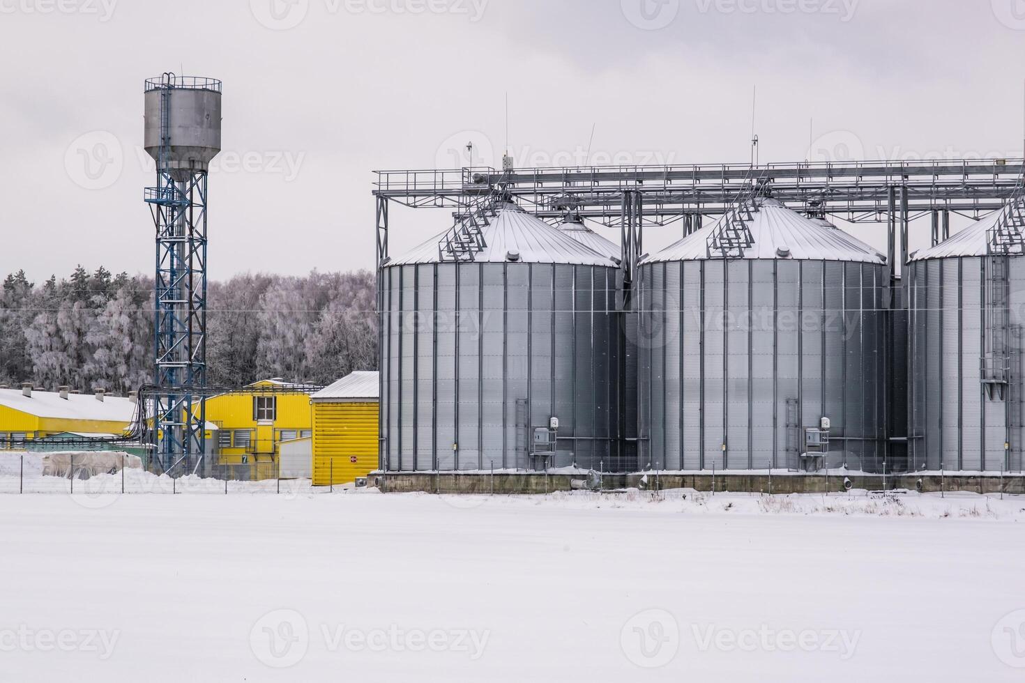 silos and agro-processing plant for processing for drying cleaning and storage and seed preparation complex in snow of winter field photo
