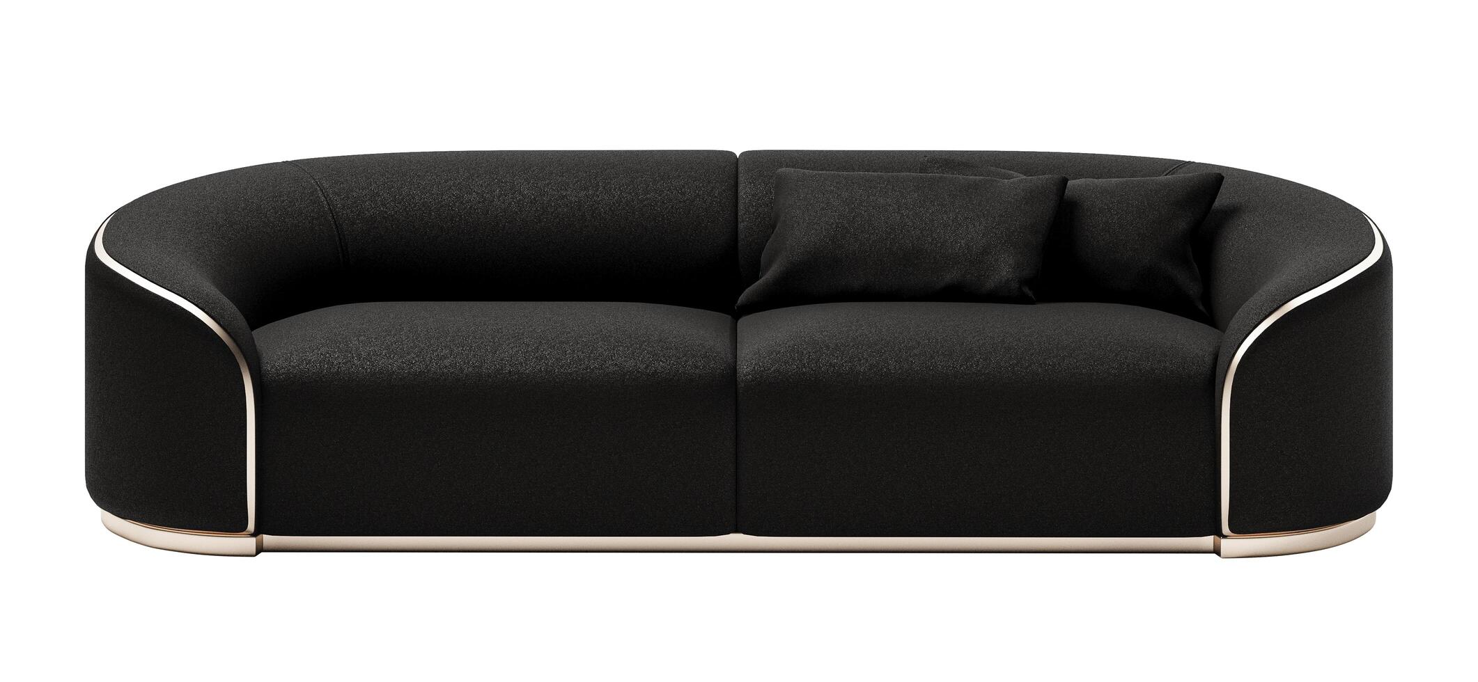 Modern and luxury Black  sofa isolated on white background. Furniture Collection photo