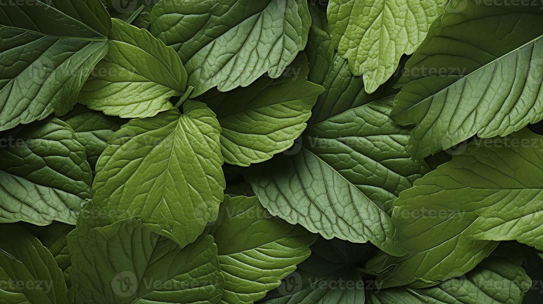 AI generated Fresh green leaves nature Background. Top view. photo