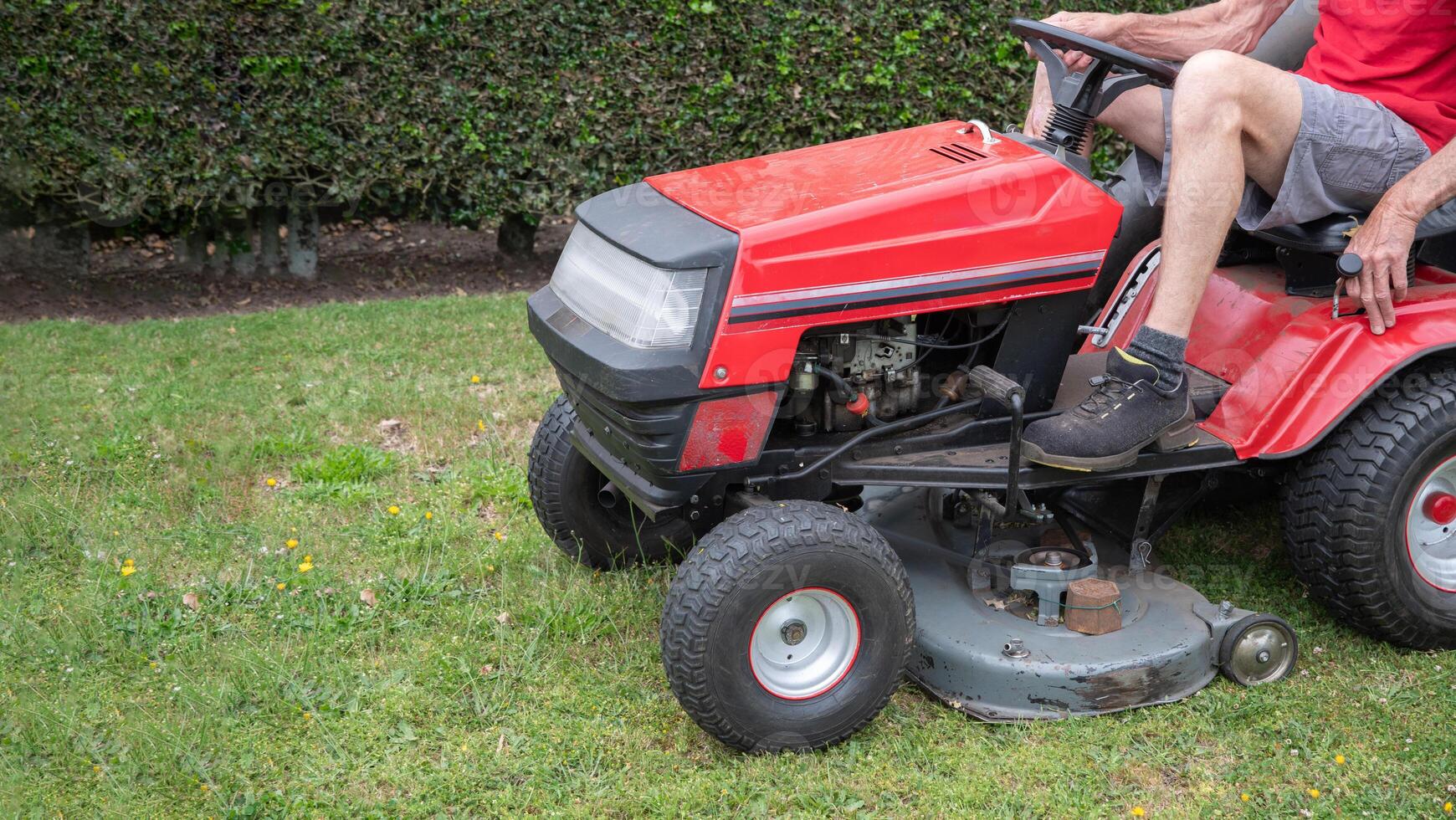 Lawn mower mows the grass, a middle-aged male gardener works on a mini tractor photo