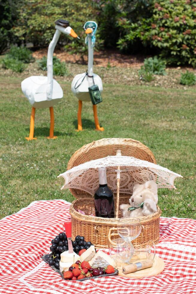 verano picnic en un verde césped con rojo vino, queso y Fresco bayas, uvas foto