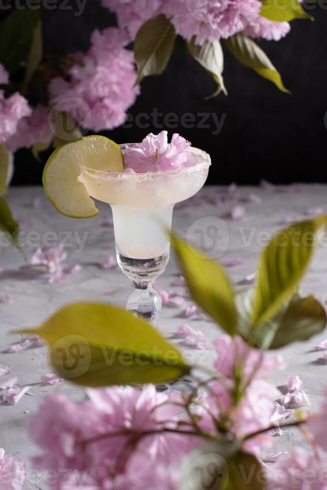 Spring still life with a glass of cold Margarita with lime, pink sakura flowers photo