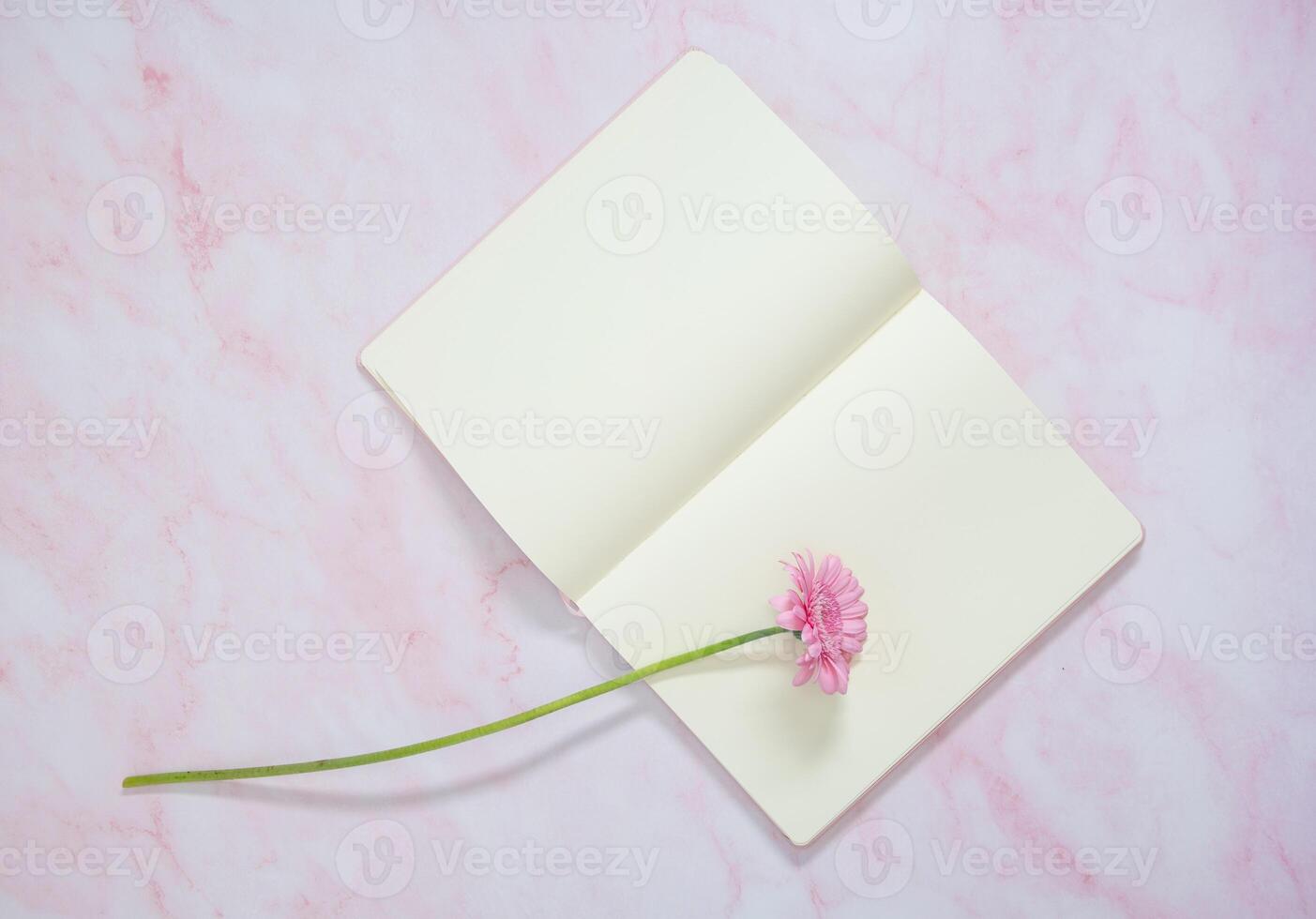 one pink gerbera and blank notebook on the table, gift for her, copy space photo