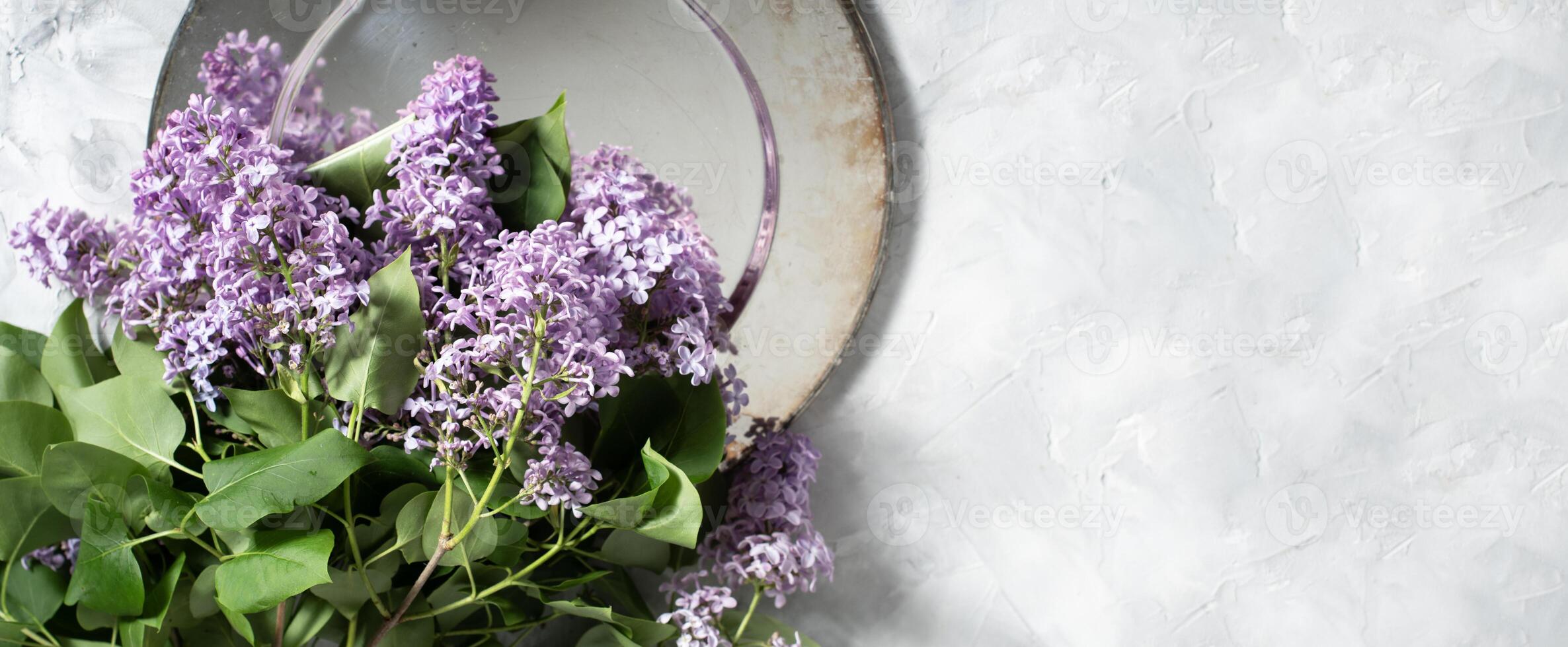 branch of purple lilac on silver plate on a cement gray background with space for text concept of early spring flowers photo