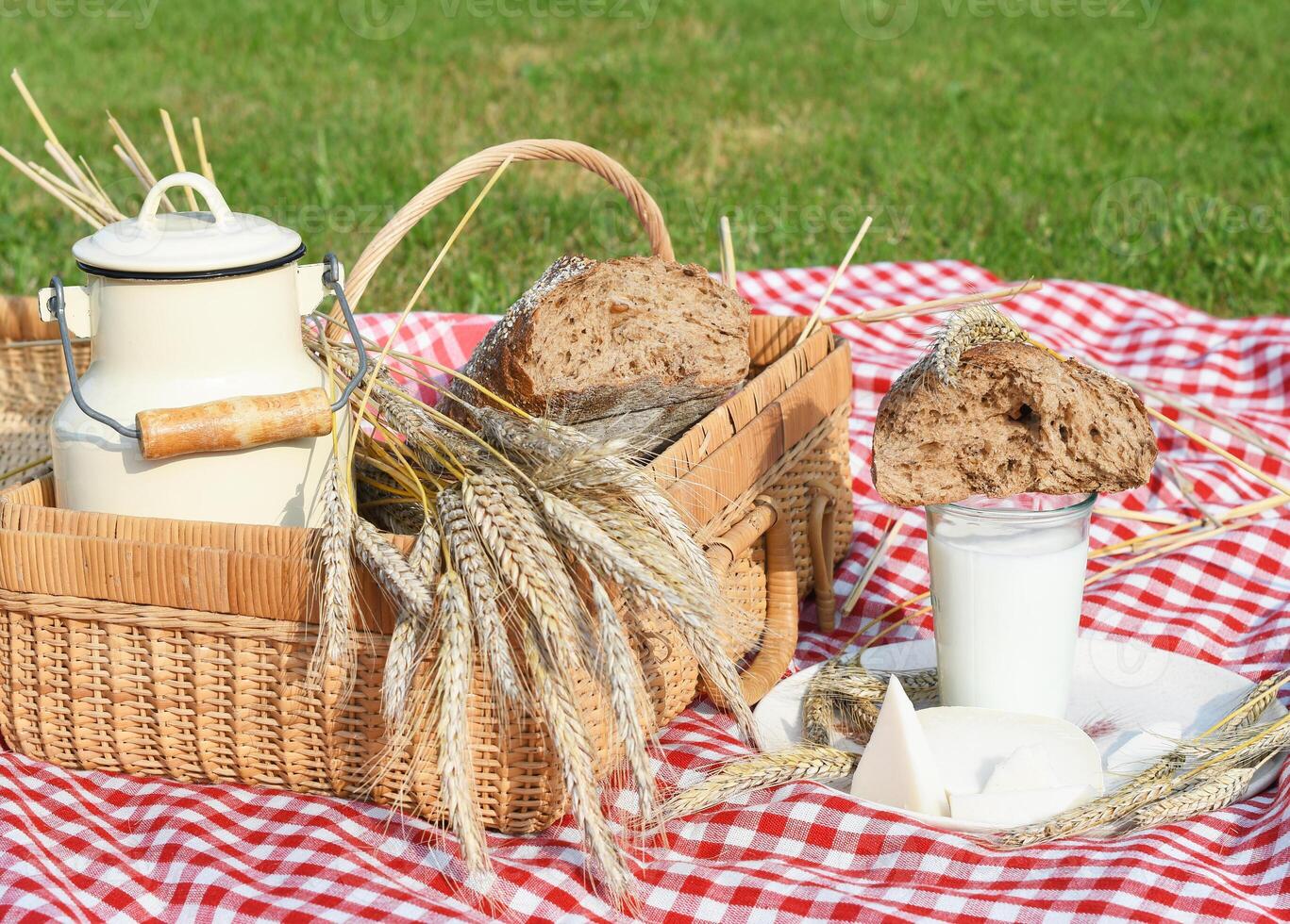 picnic with fresh bread and milk on a red checkered bedspread on a green lawn photo