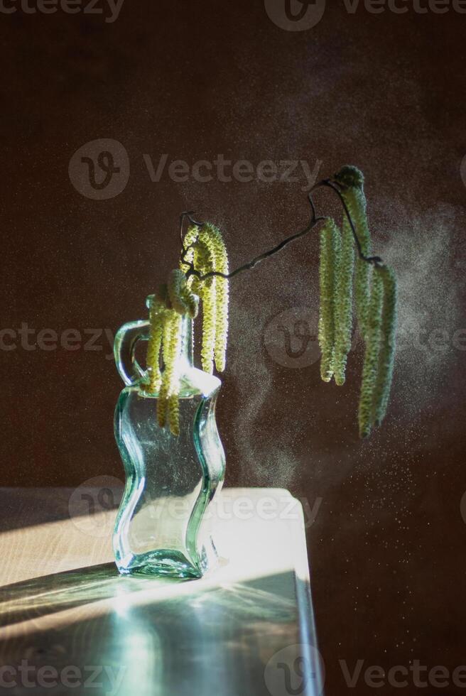 original still life with branch of blooming hazelnut,dusty pollen in the rays of the sun,glass vase on chest of drawers photo