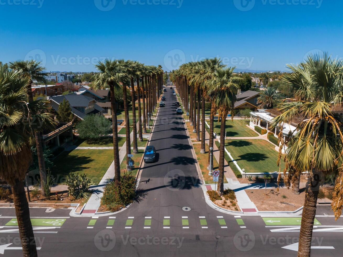 An aerial shot of Californian palms with an empty road. photo