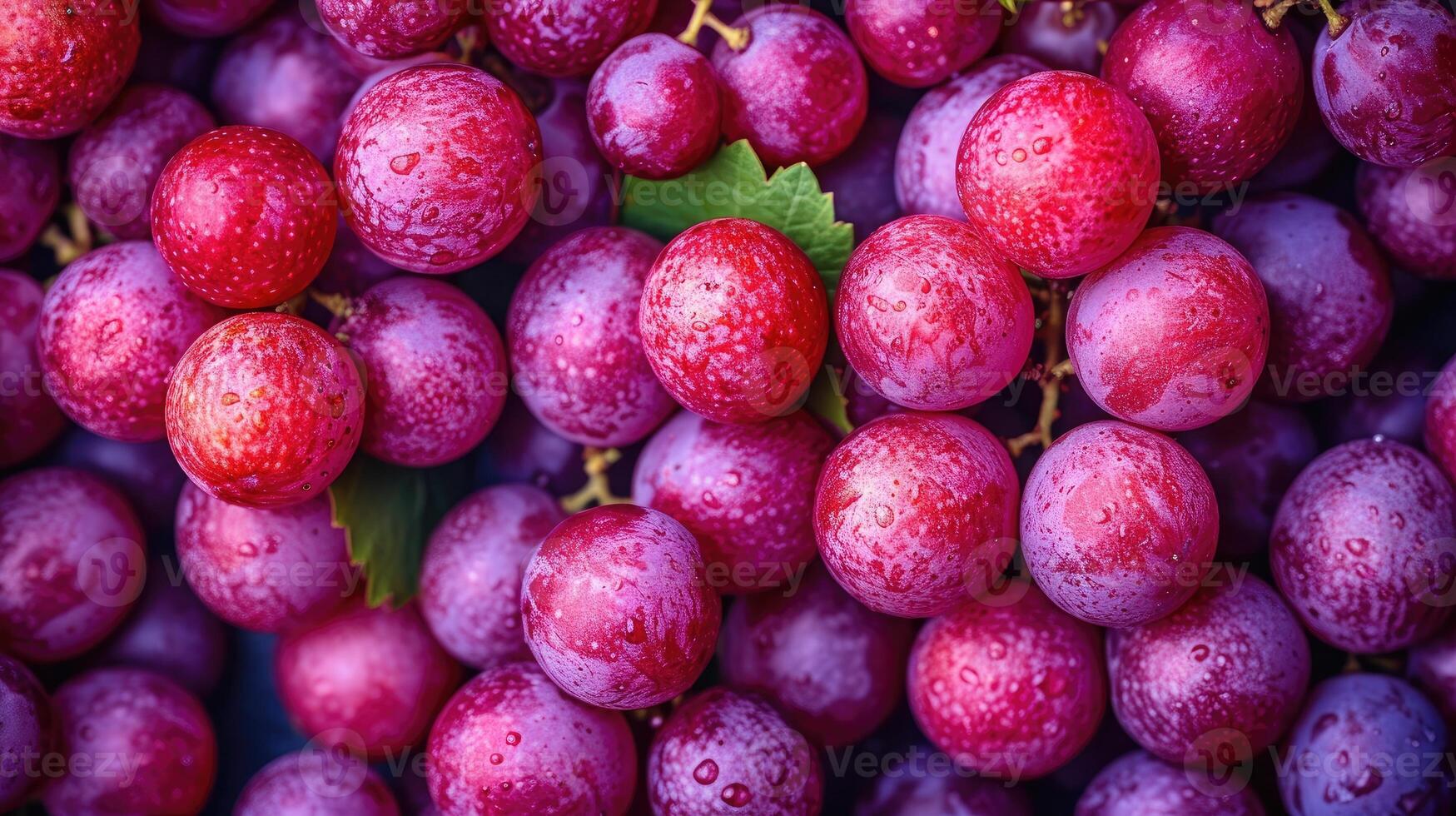 AI generated Red Grapes background. Neatly arranged clusters of red grapes, an artistic arrangement to highlight the color and beauty. photo