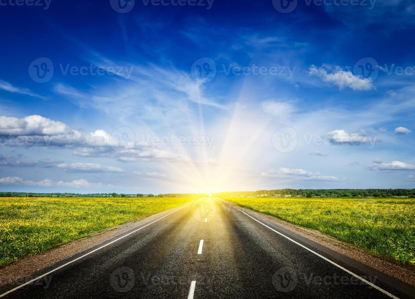 Road in blooming spring meadow photo