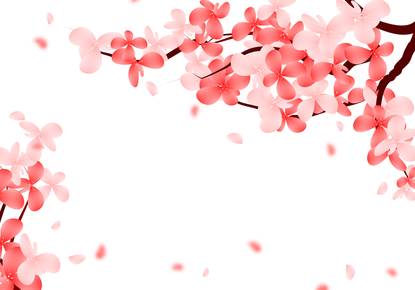 Pink Cherry Blossom Background, Valentines Frame with sakura branch. Cute Falling petals Border. png