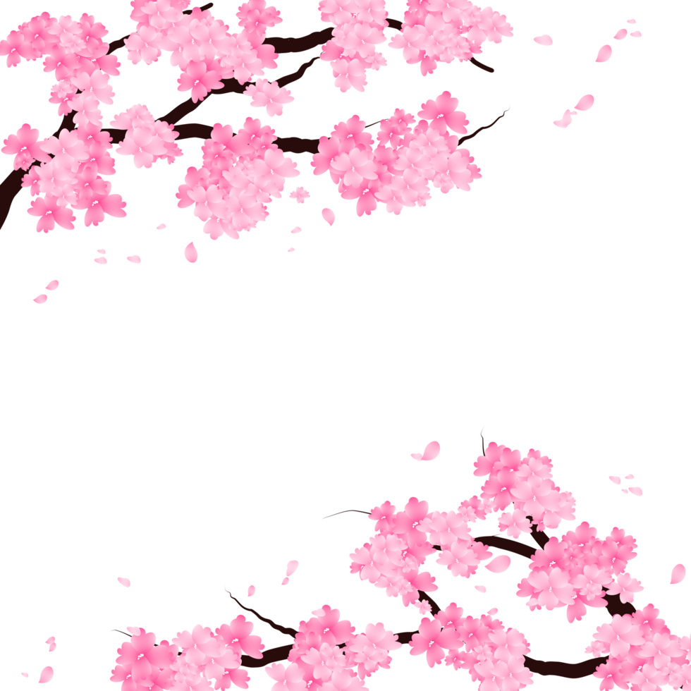 Pink Sakura Flowers Frame, Spring Cherry Bloom Branch Background. png